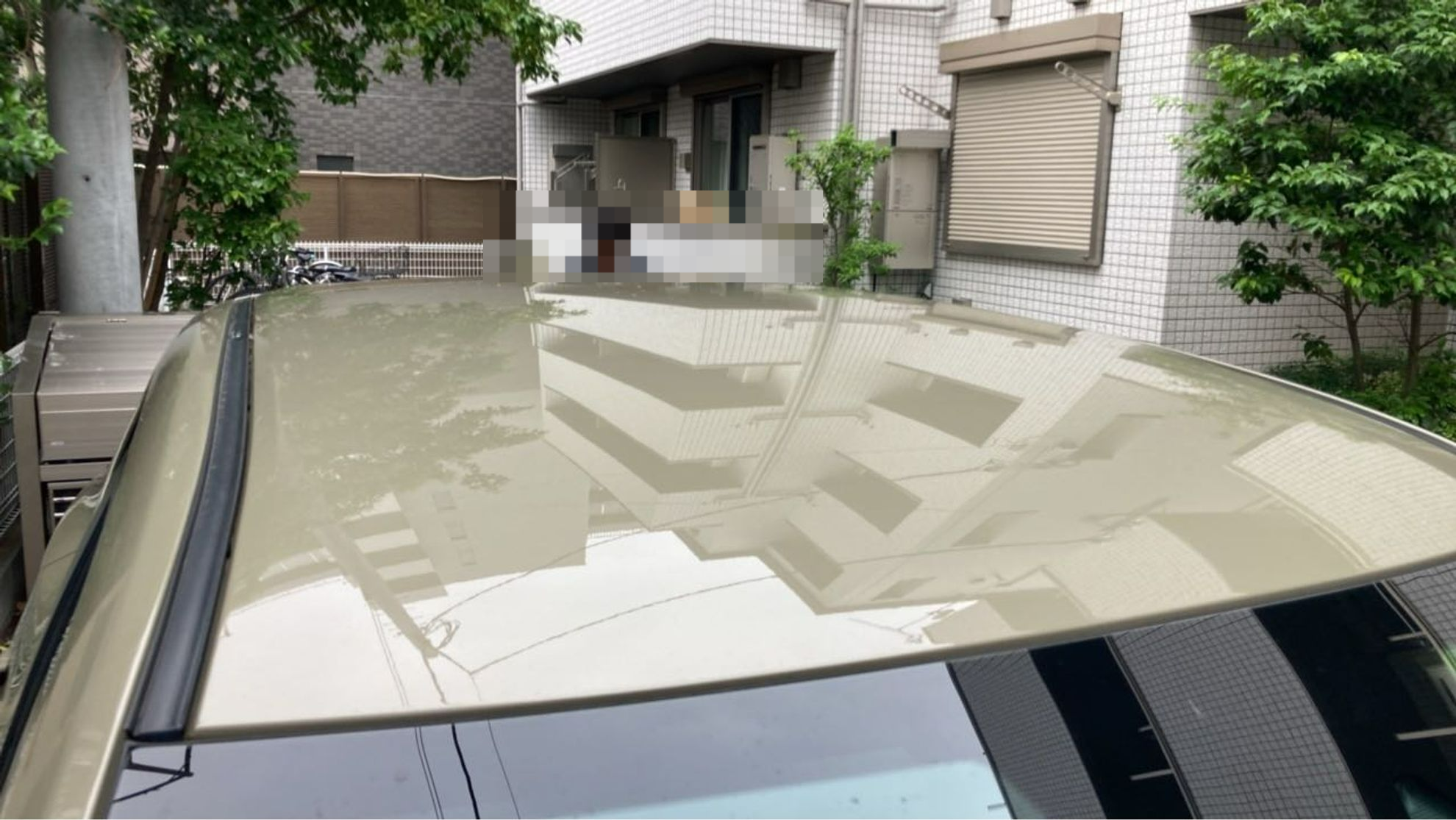 正面ルーフ