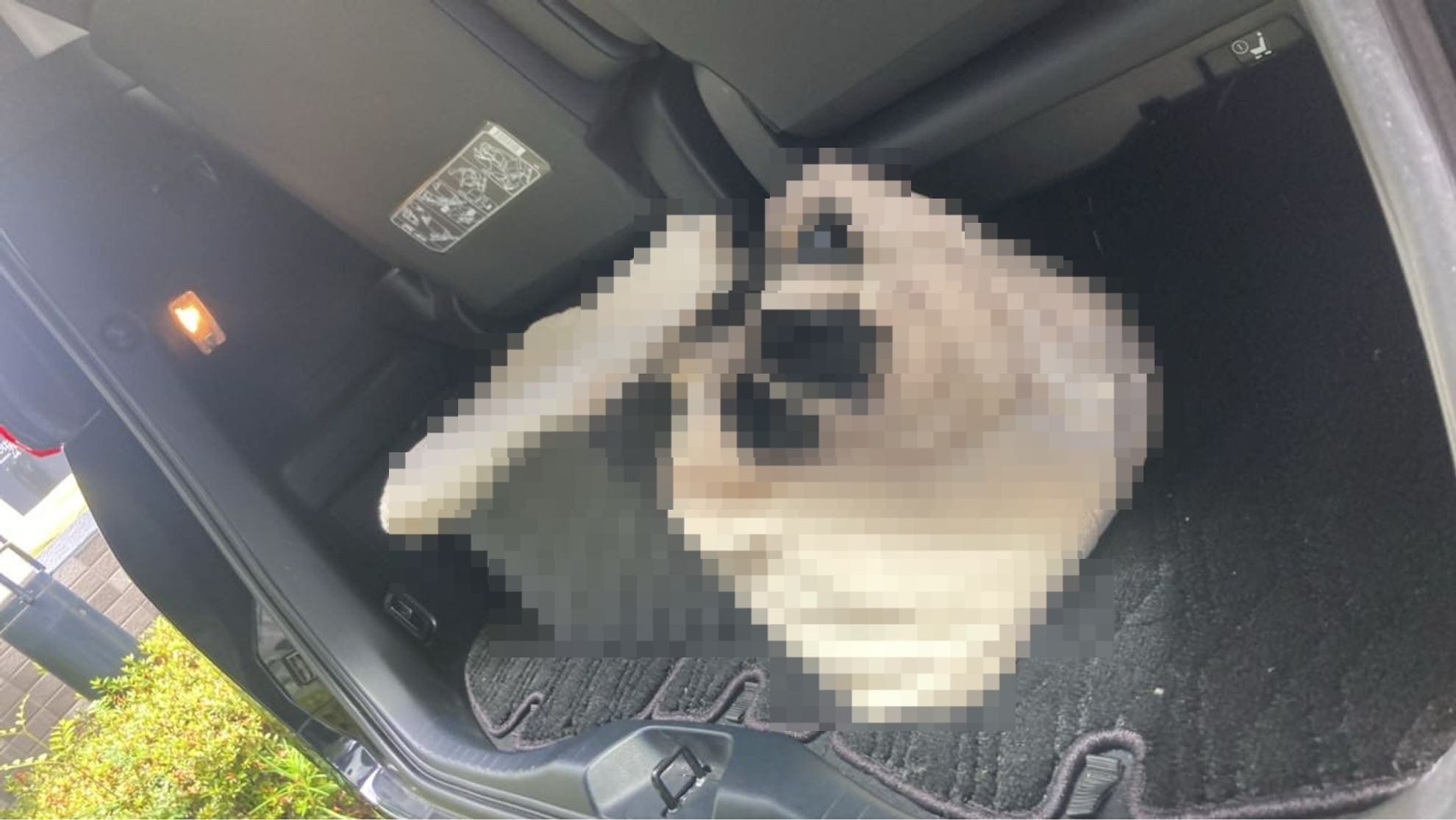内装トランク