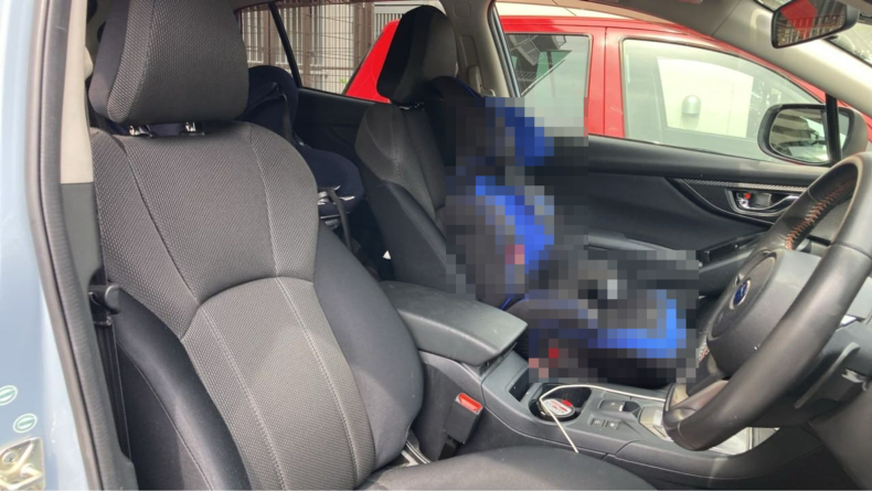 内装前方シート