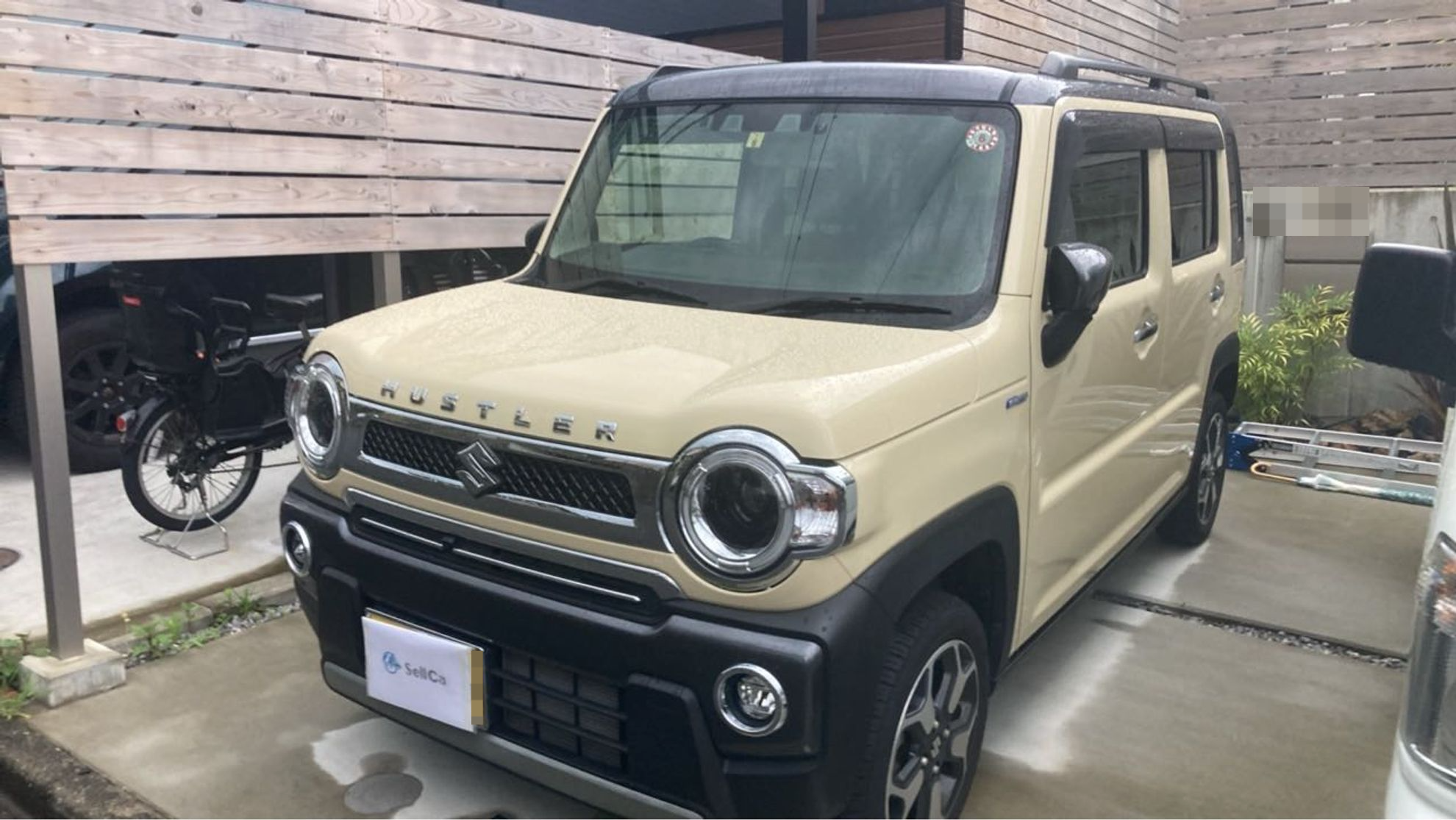 メイン画像