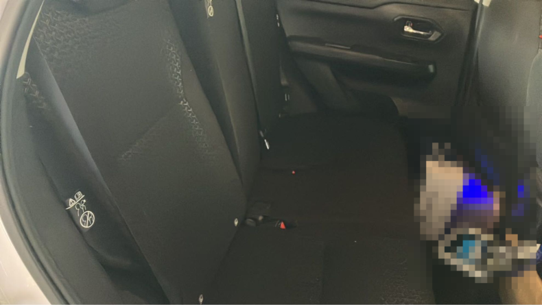 内装後方シート