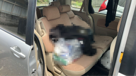 内装後方シート