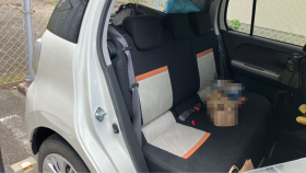 内装後方シート