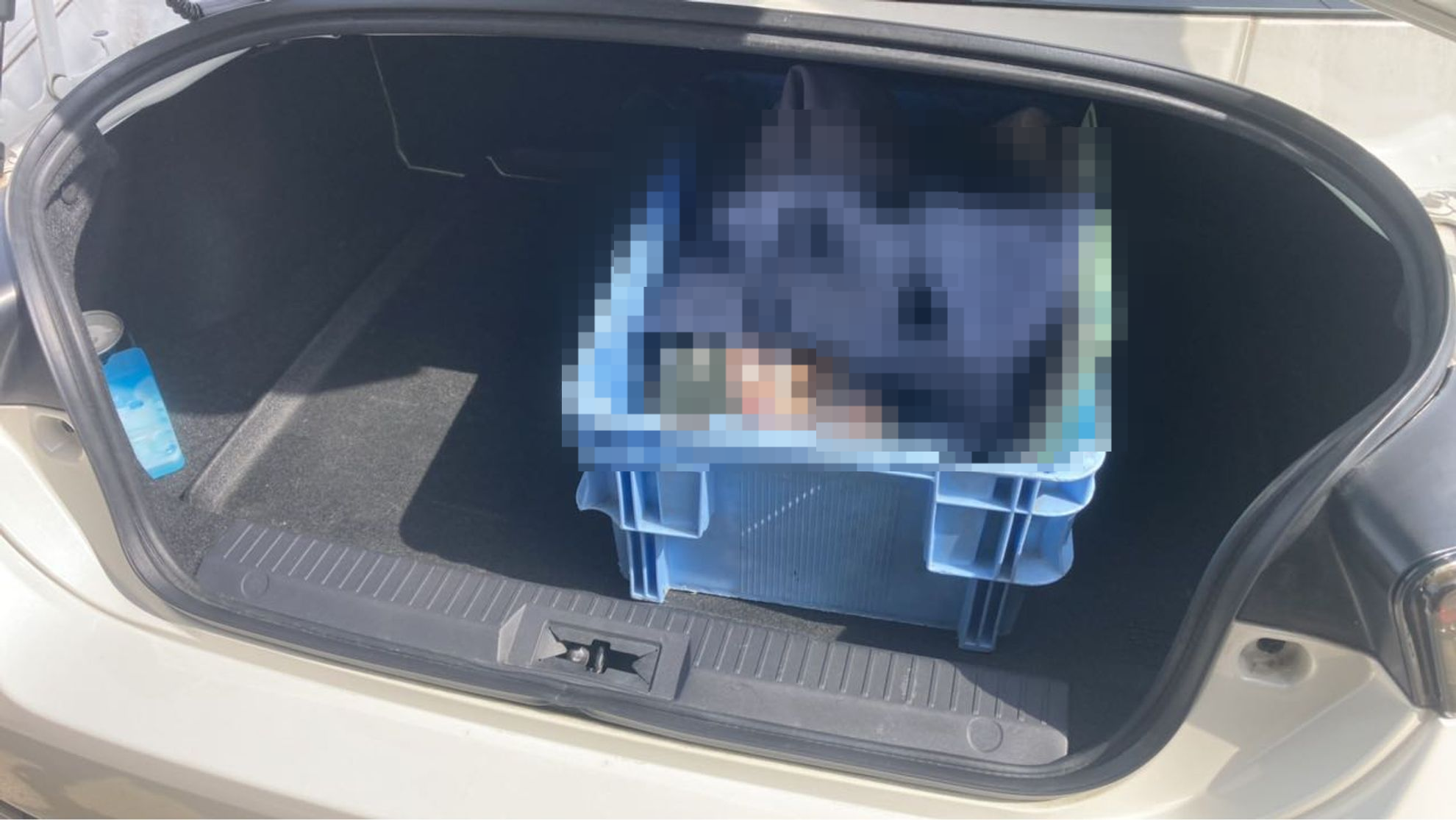 内装トランク