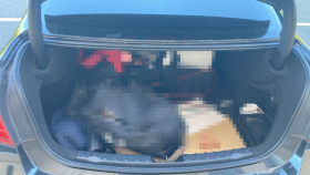 内装トランク