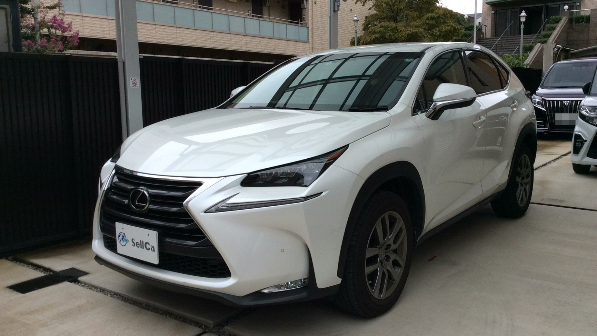 レクサス ＮＸの売買実績画像
