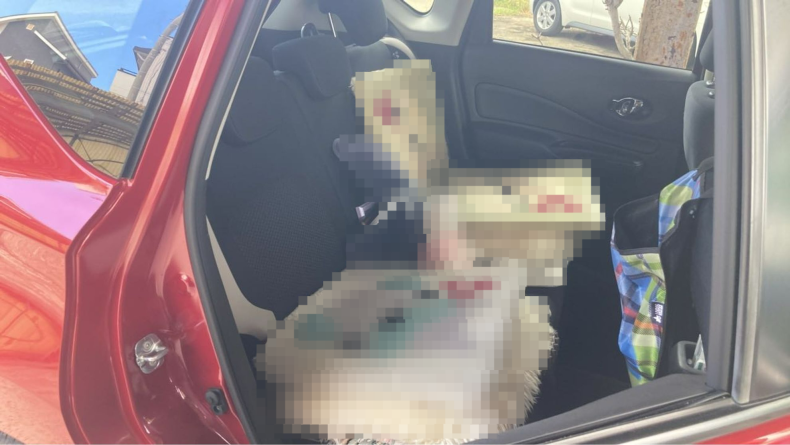 内装後方シート