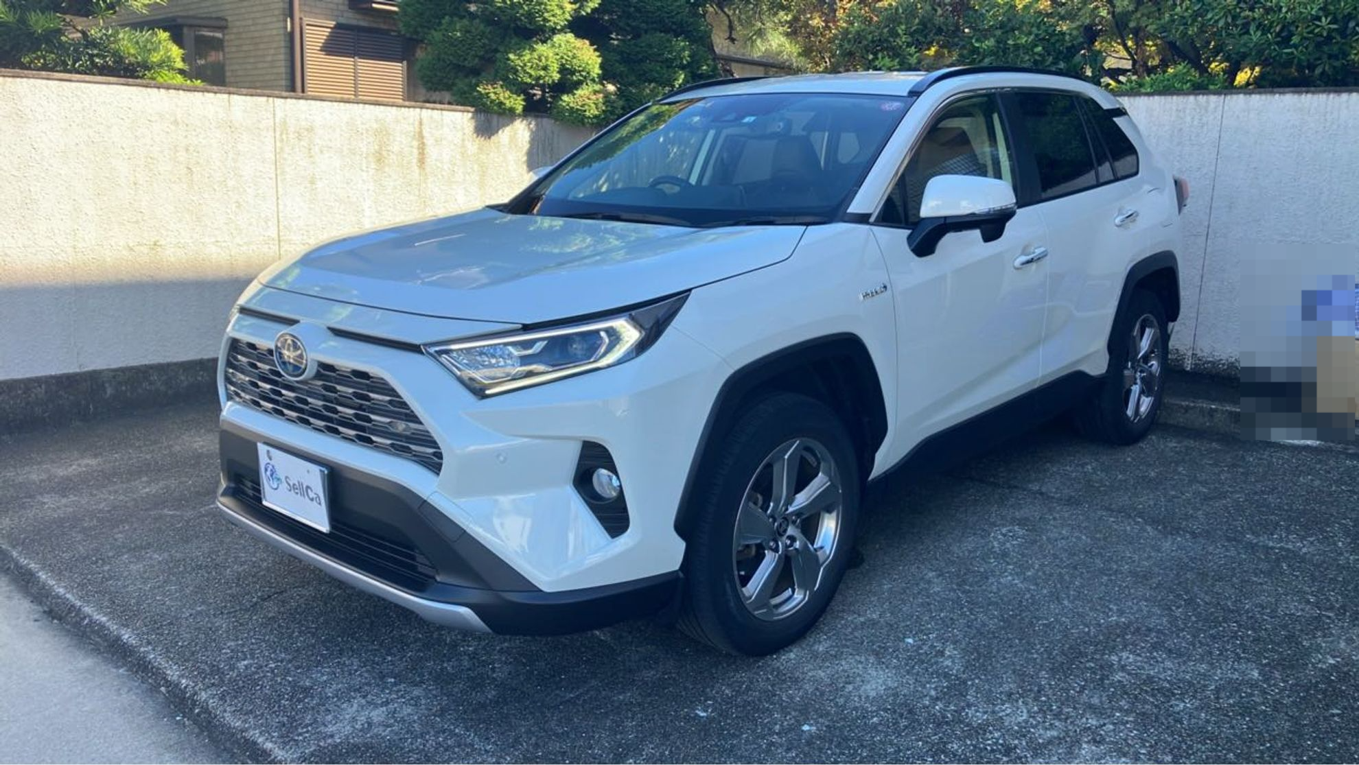 トヨタ ＲＡＶ４の売買実績画像