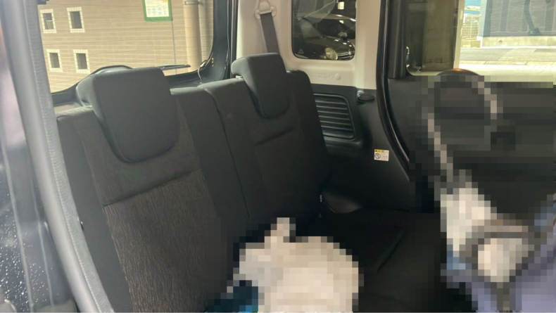 内装後方シート