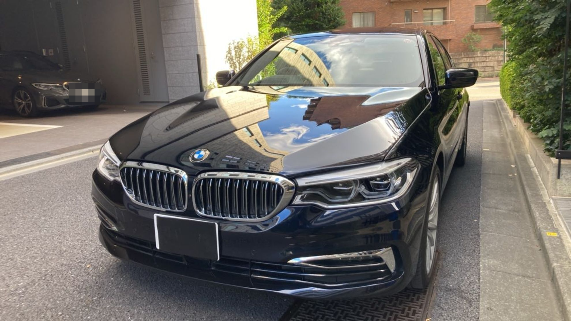 ＢＭＷ ５シリーズの売買実績画像