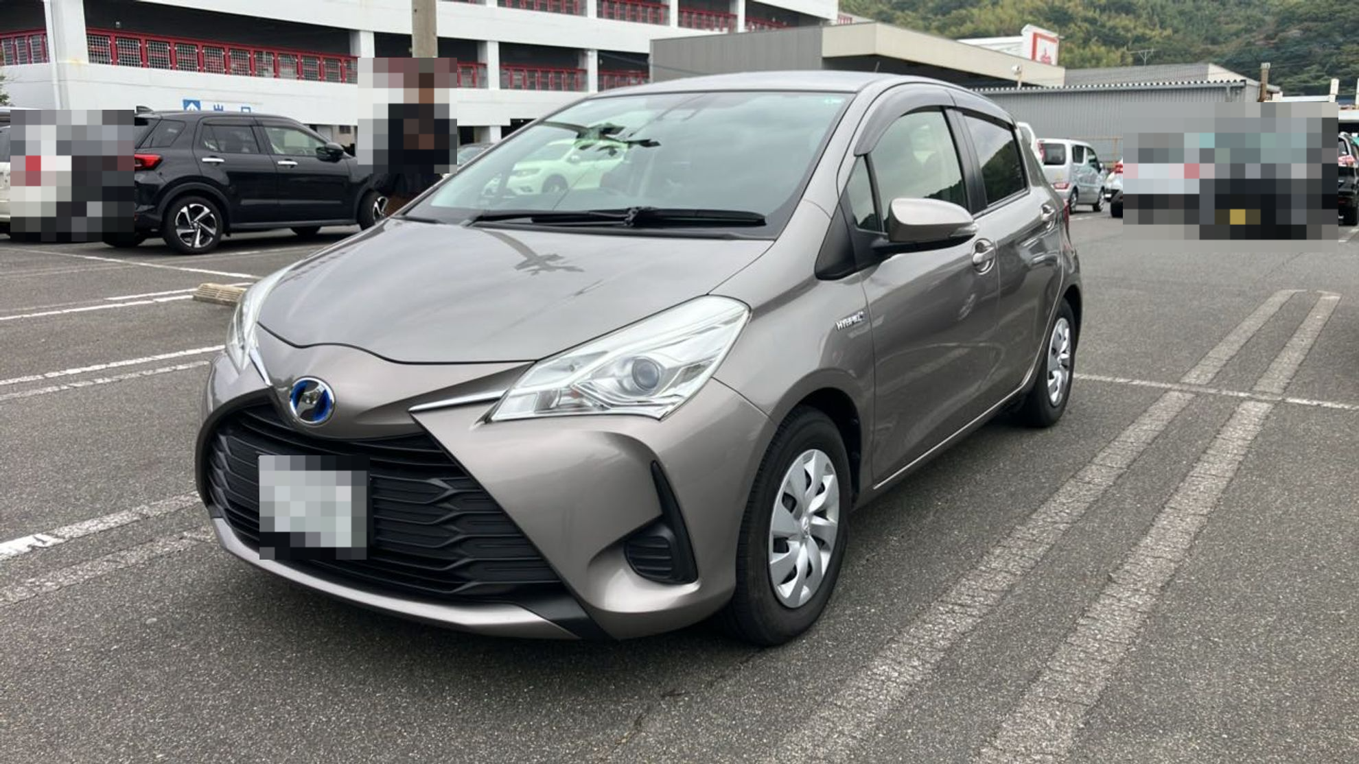 トヨタ ヴィッツの売買実績画像