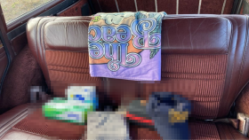 内装後方シート