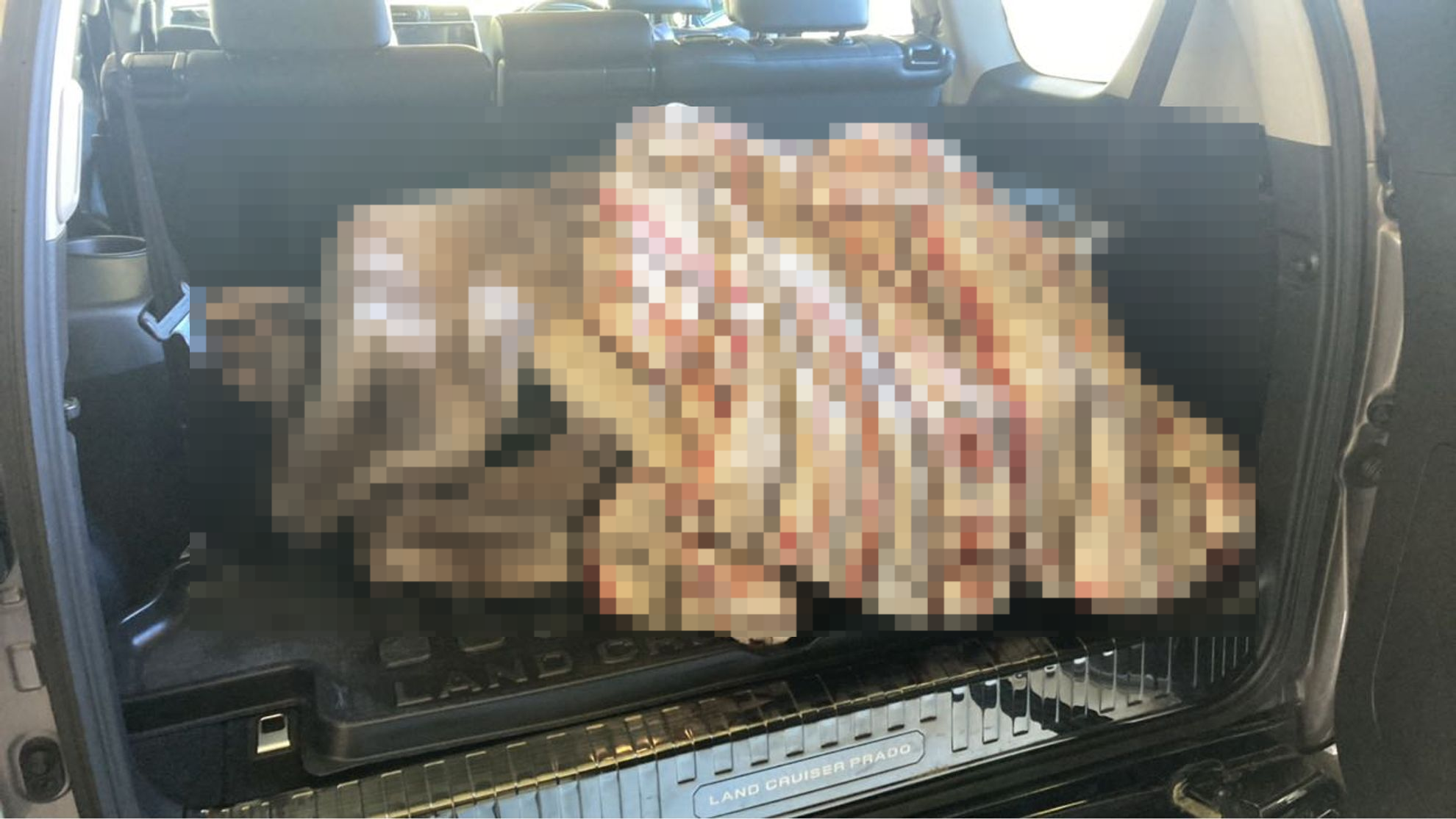 内装トランク