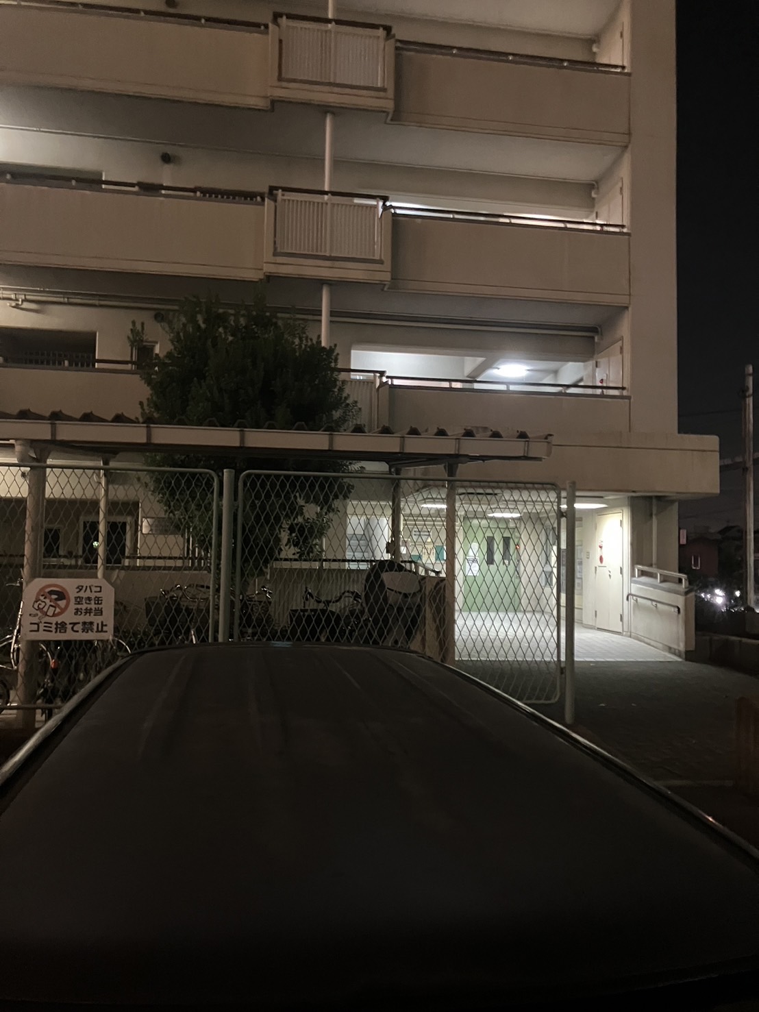 正面ルーフ