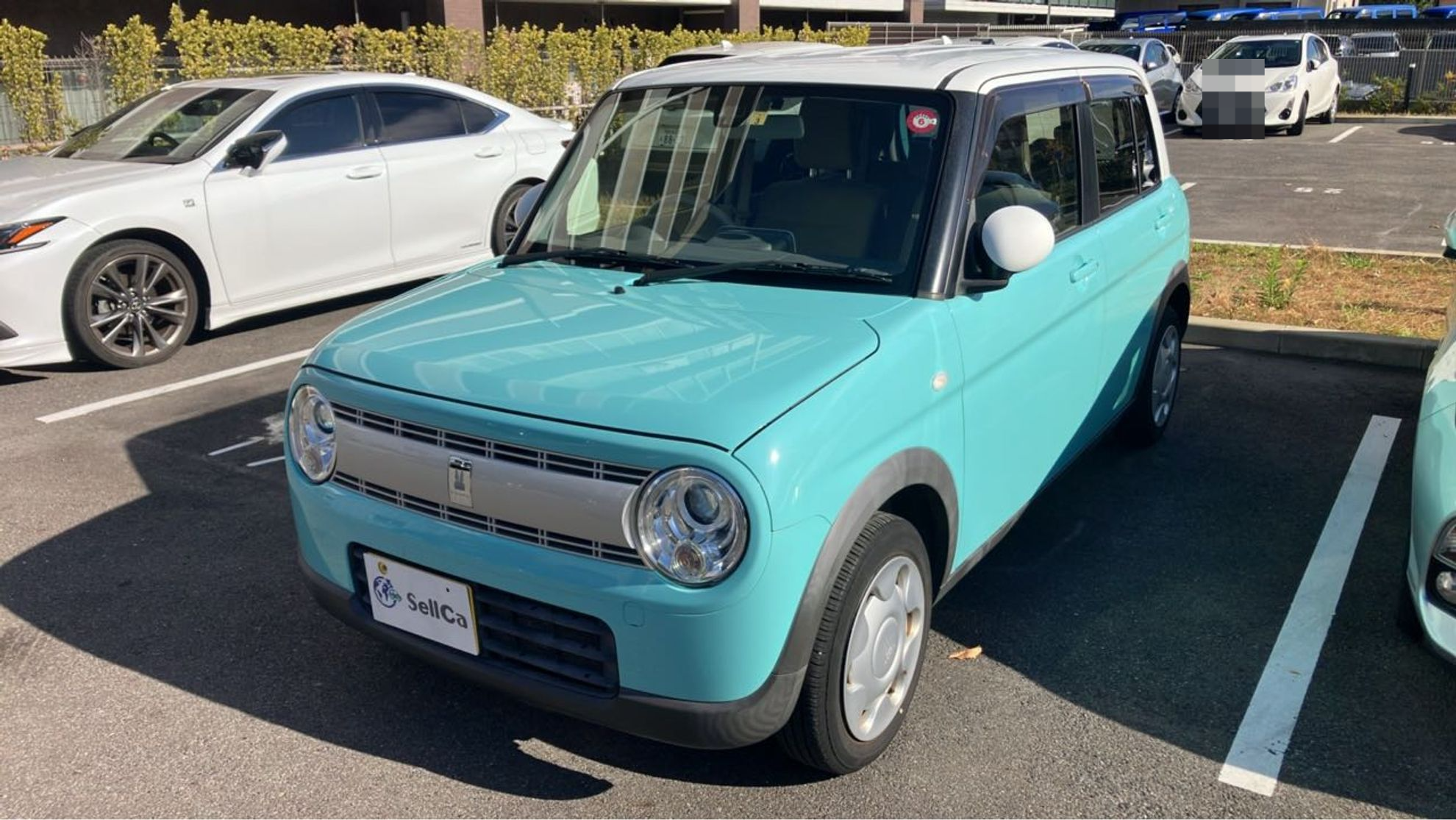 車種画像