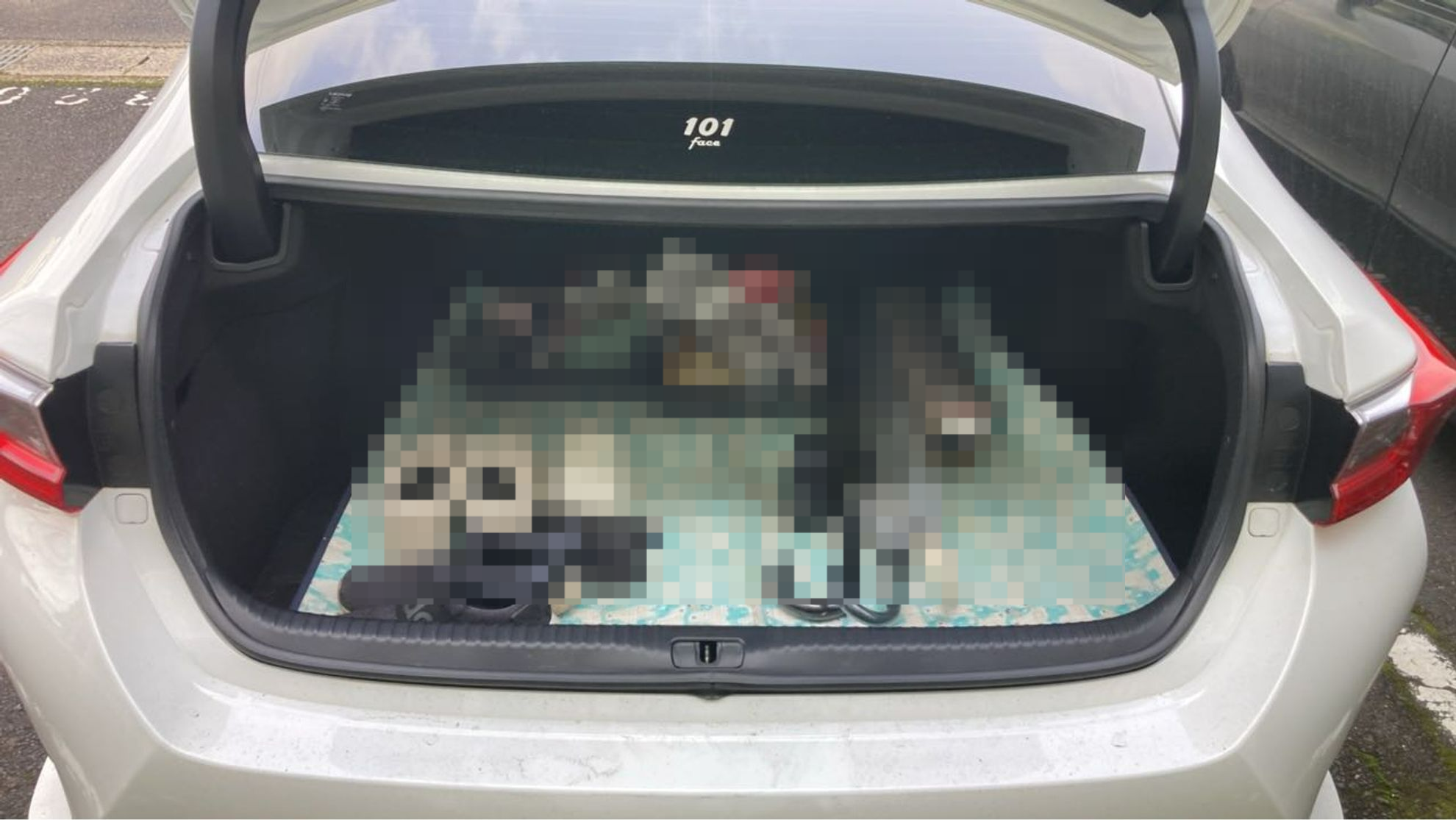 内装トランク