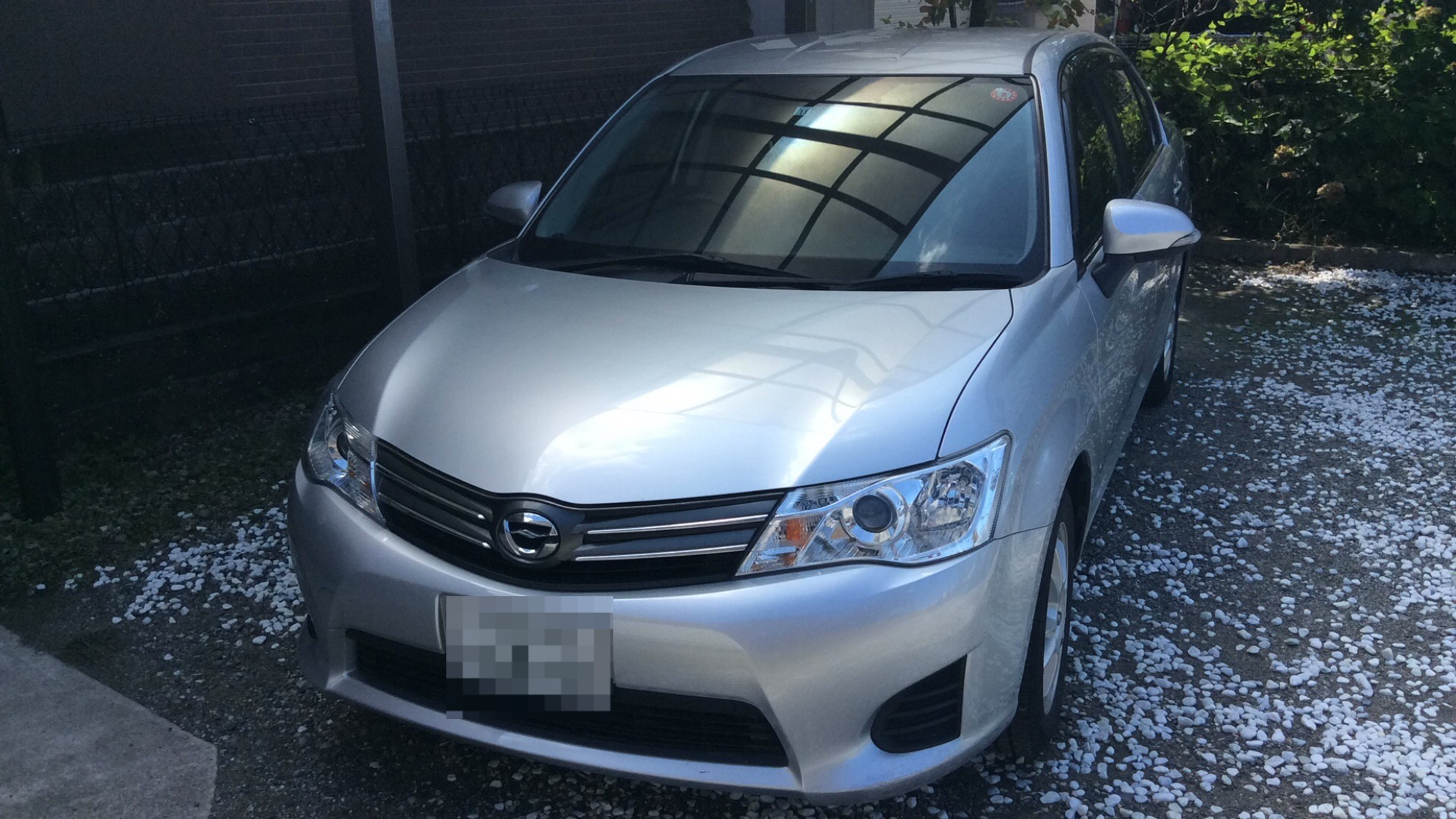 トヨタ カローラアクシオの売買実績画像