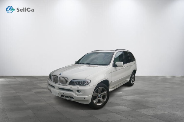 ＢＭＷ Ｘ５の売買実績画像