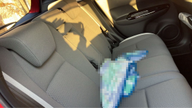 内装後方シート