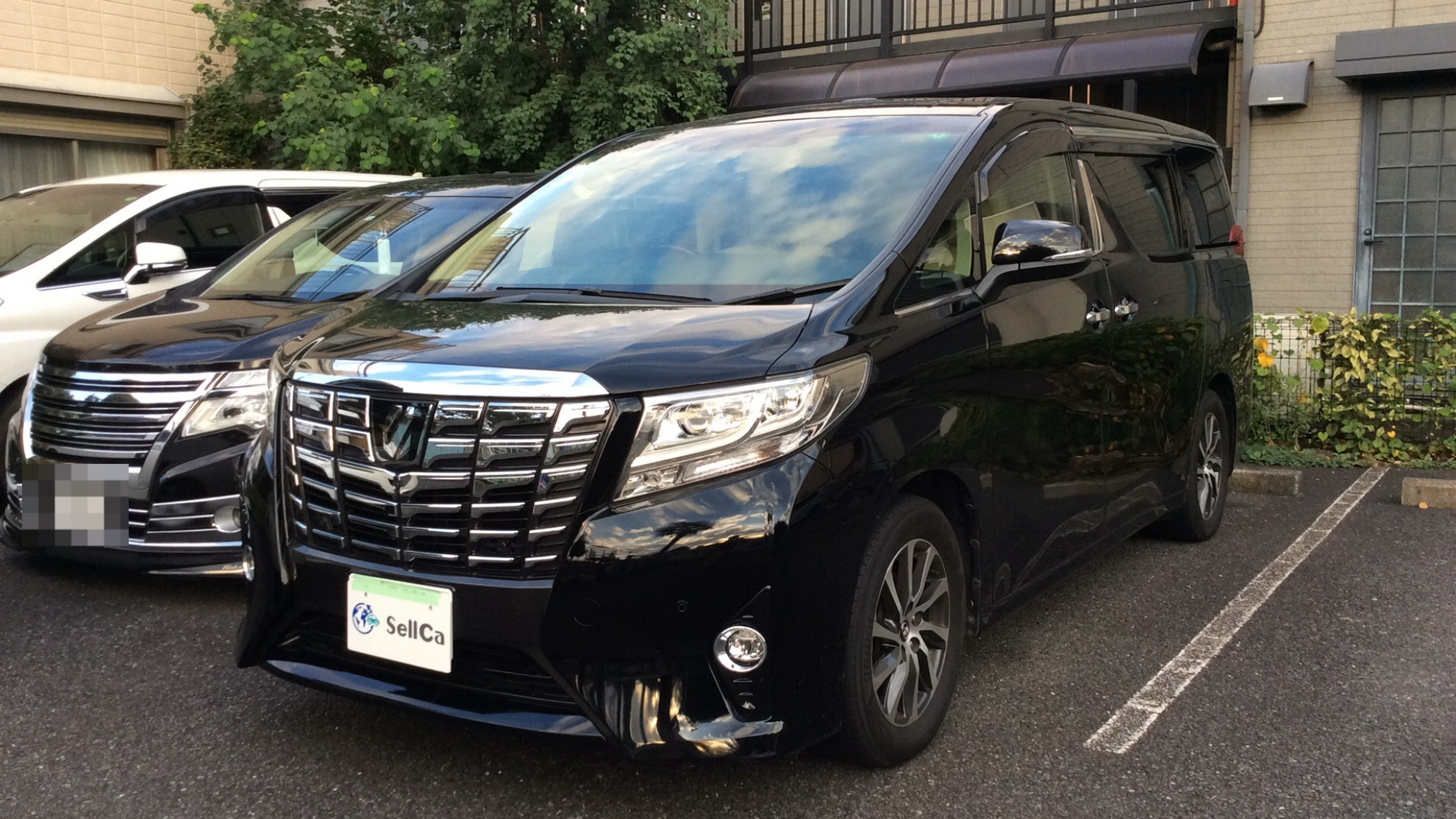 トヨタ アルファードの売買実績画像