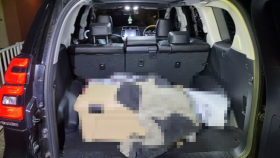 内装トランク