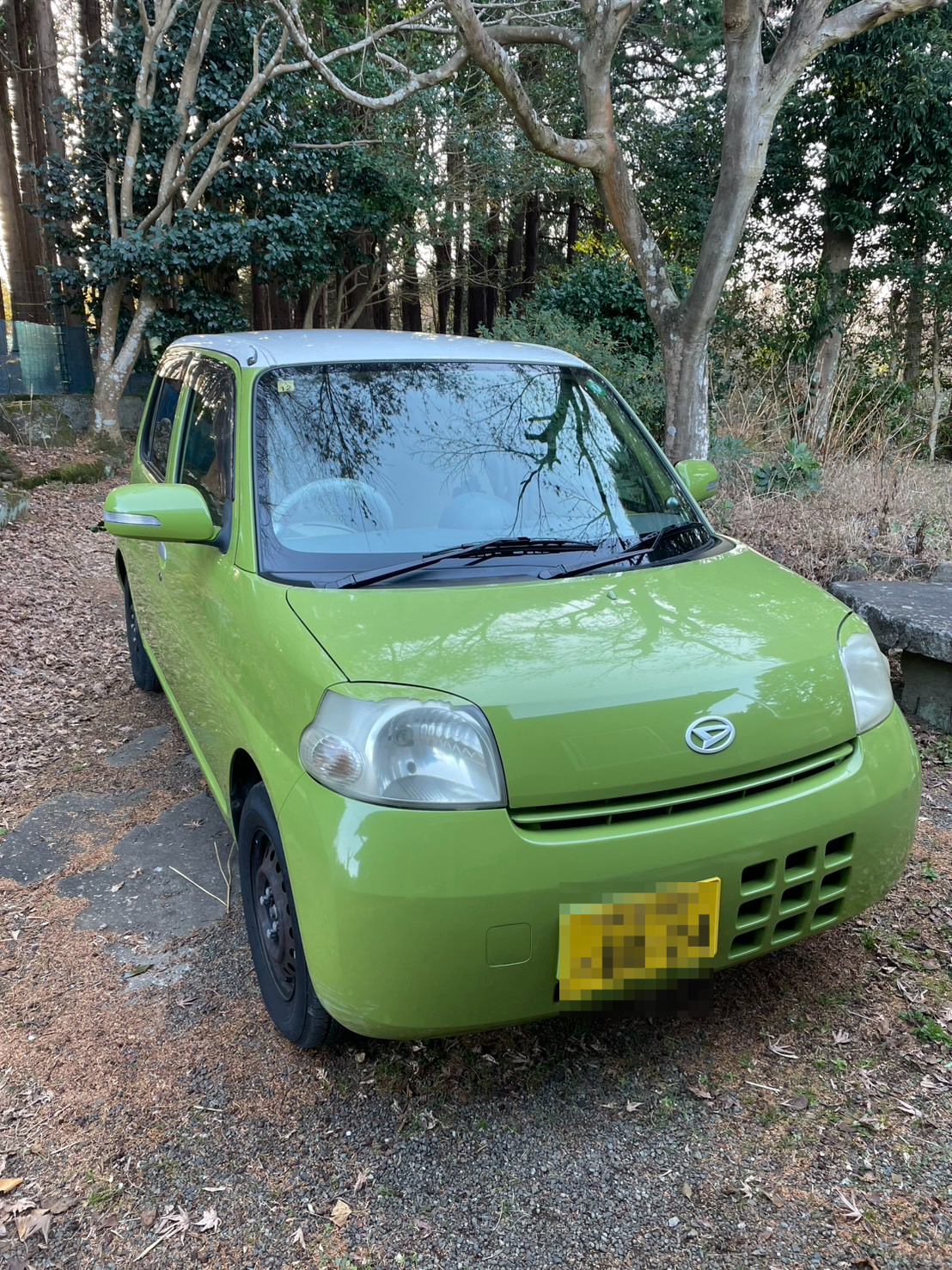 外装右前