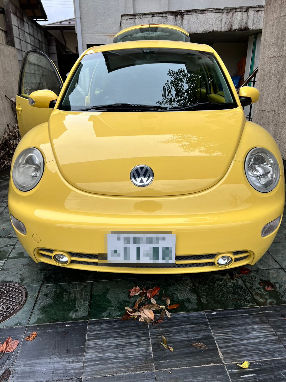 外装前方