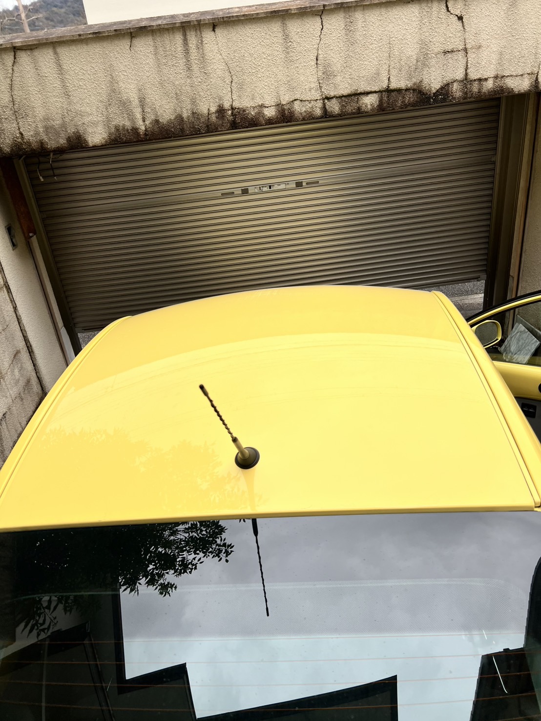 正面ルーフ