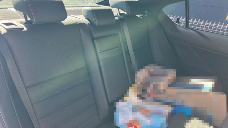 内装後方シート