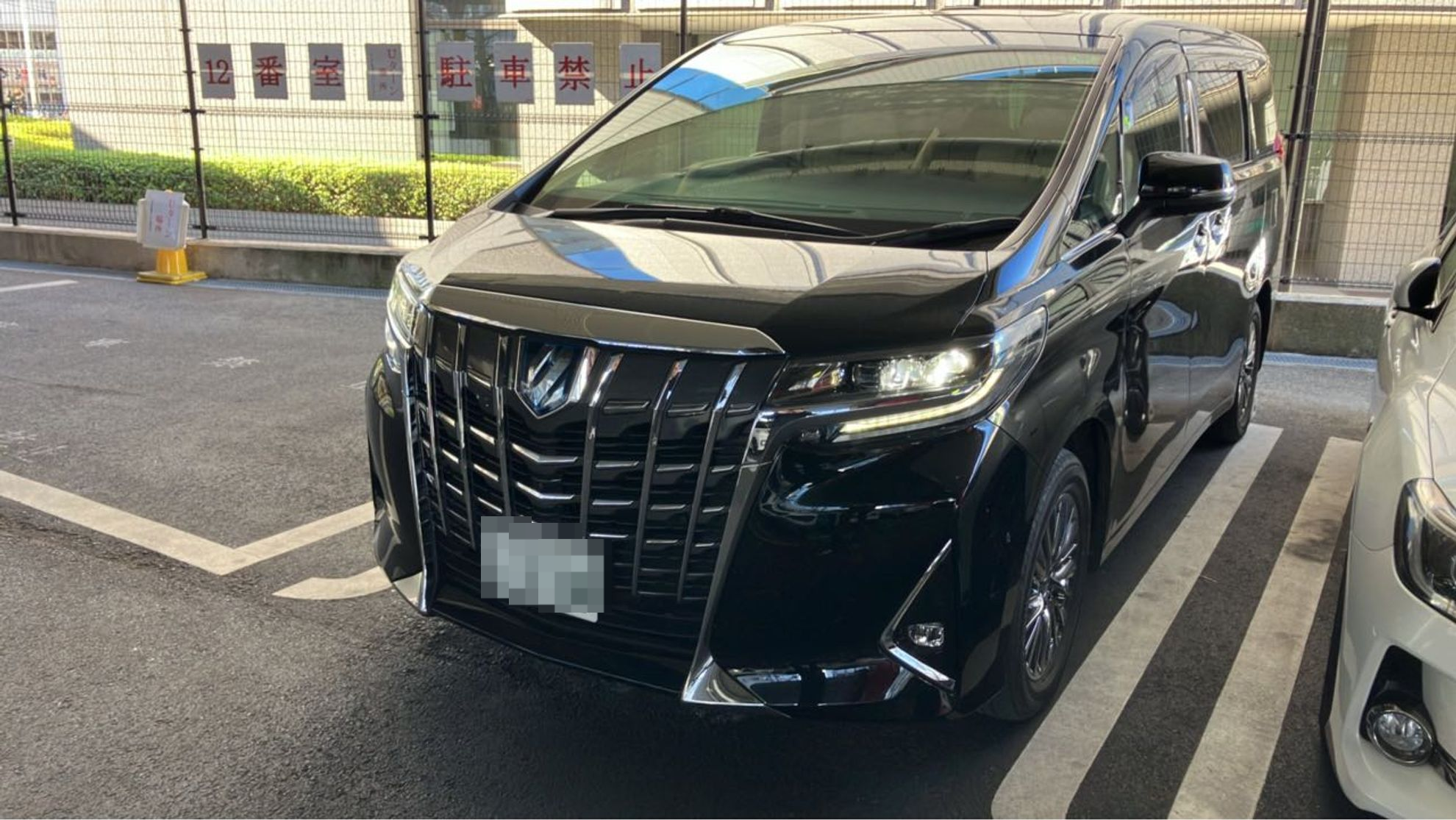 トヨタ アルファードハイブリッドの売買実績画像