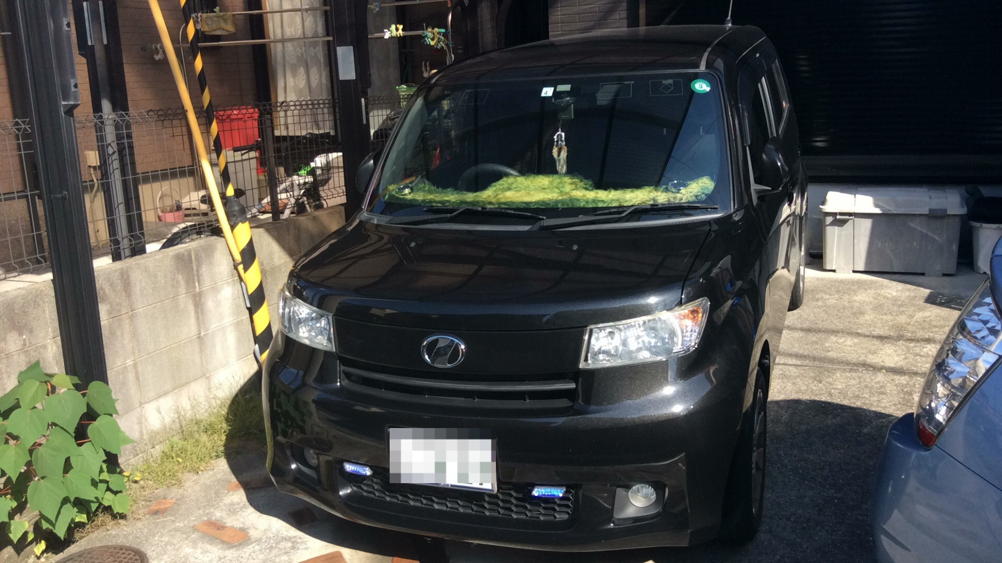 トヨタ ｂＢの売買実績画像