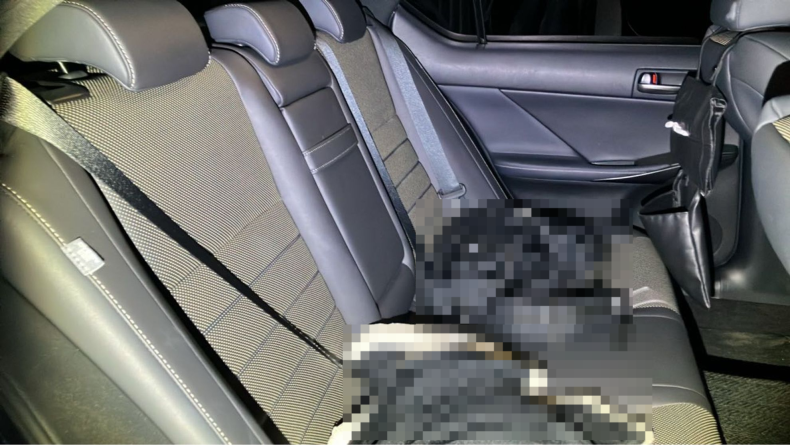 内装後方シート