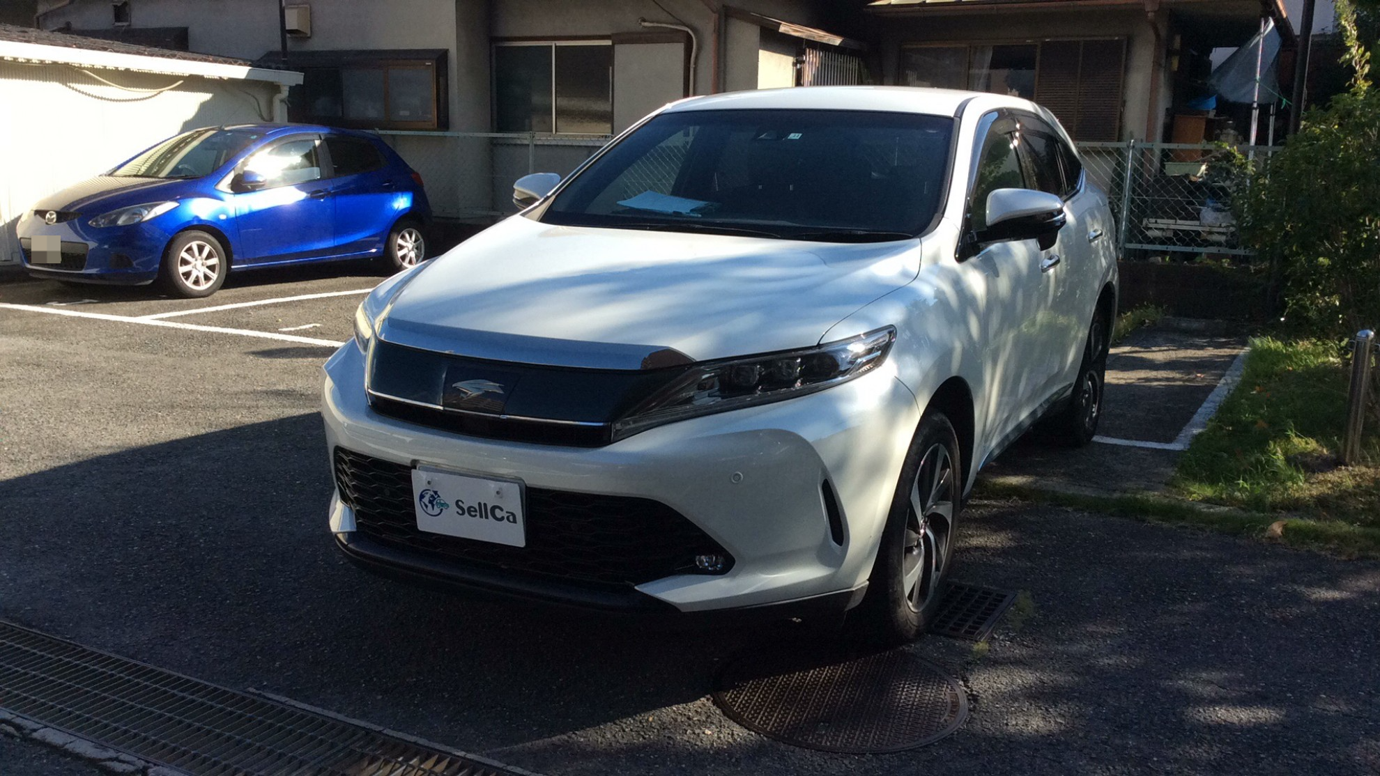 トヨタ ハリアーの売買実績画像