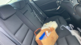 内装後方シート