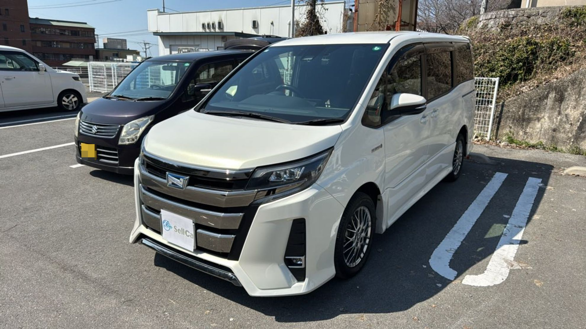 トヨタ ノアの売買実績画像