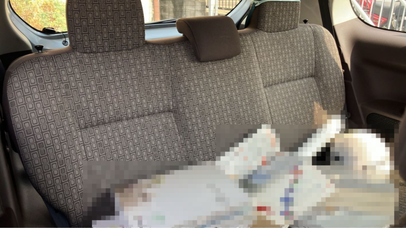 内装後方シート