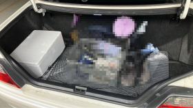 内装トランク