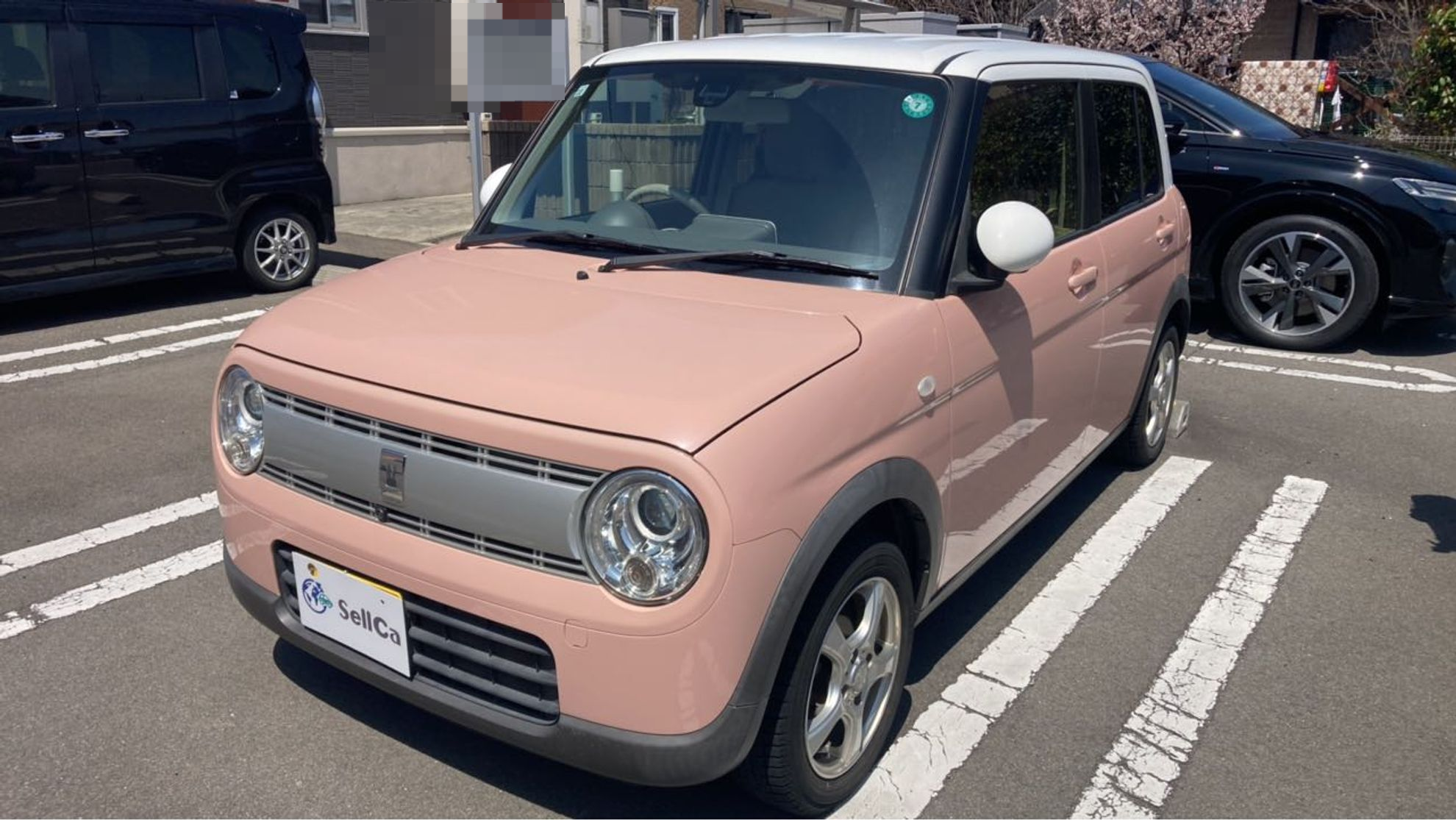 車種画像