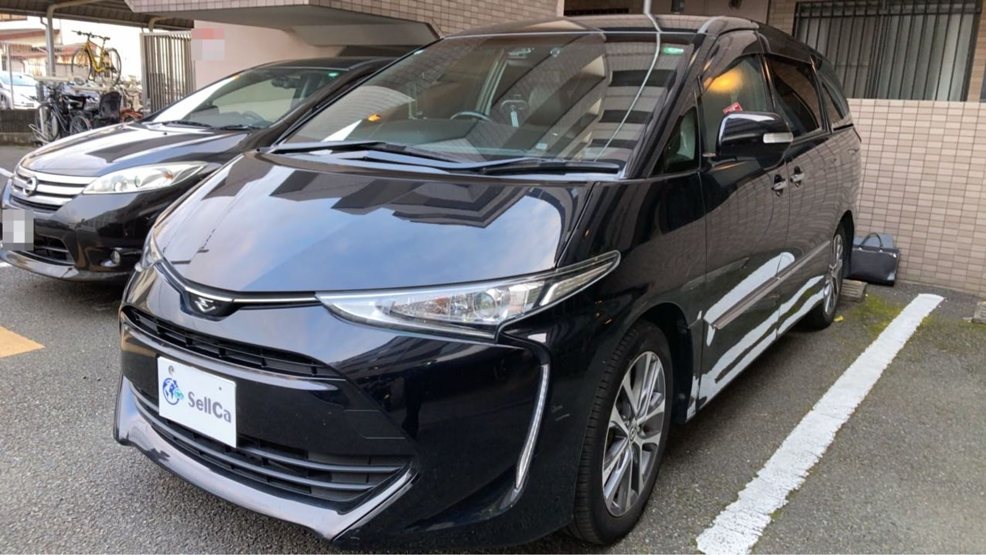 車種画像