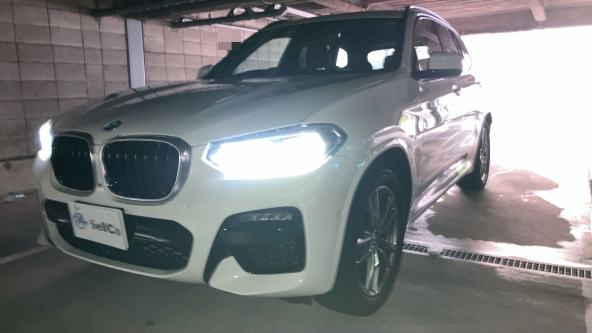 ＢＭＷ Ｘ３の売買実績画像