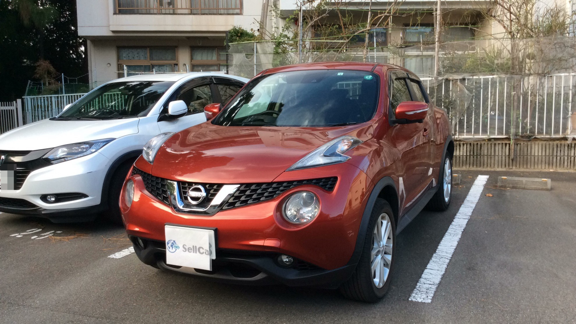 日産 ジュークの売買実績画像