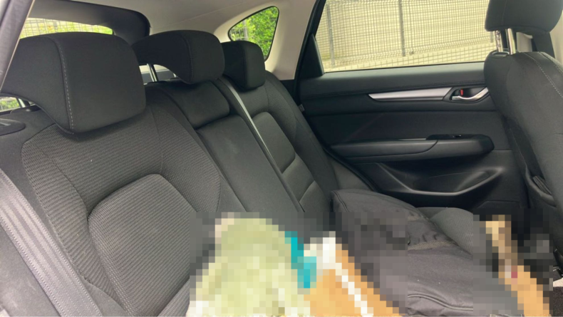 内装後方シート