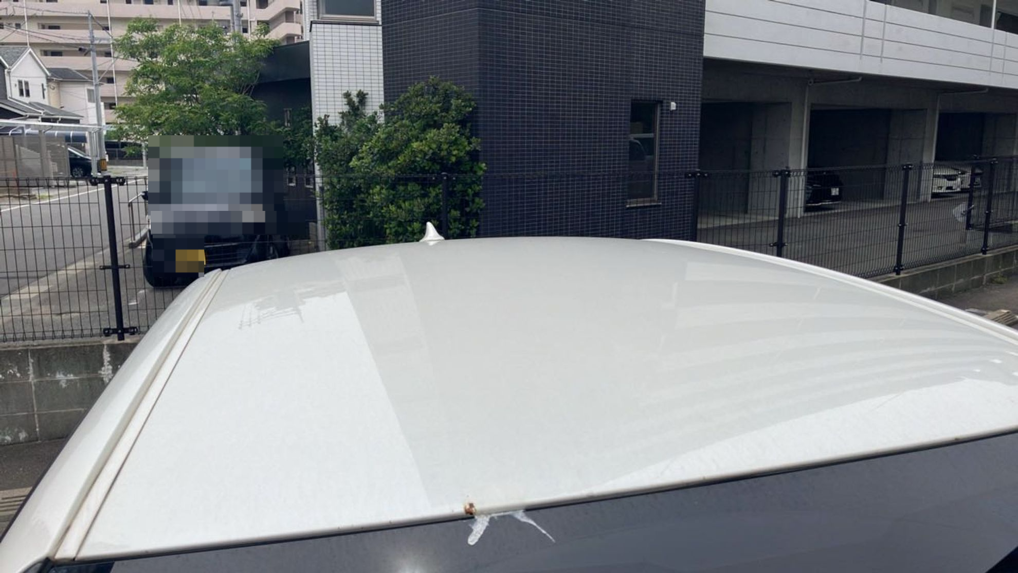 正面ルーフ