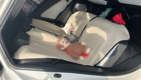 内装後方シート