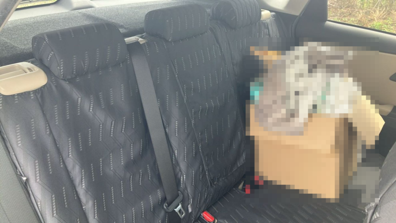 内装後方シート