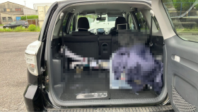 内装トランク