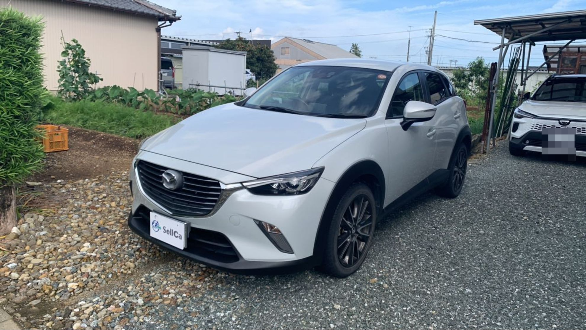 マツダ ＣＸ－３の売買実績画像