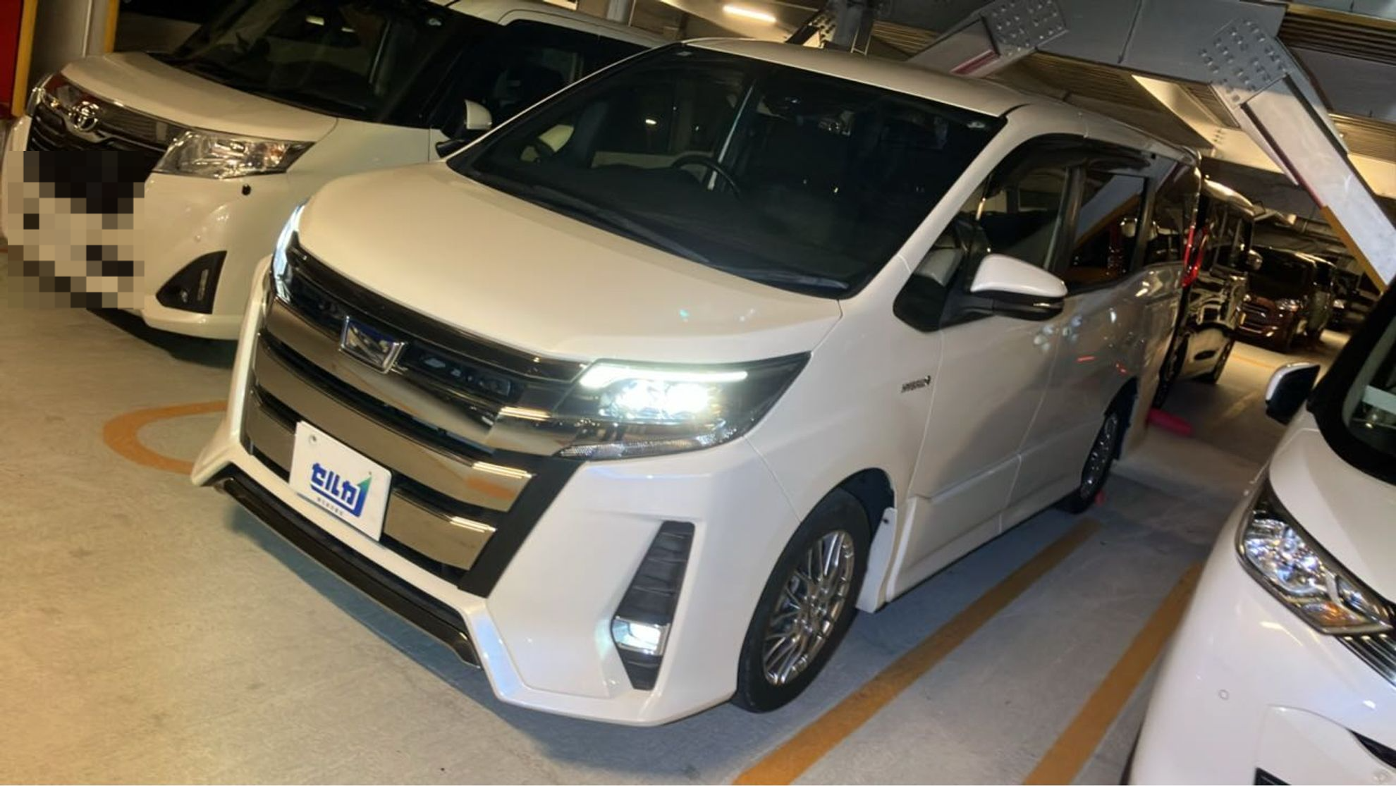 トヨタ ノアの売買実績画像