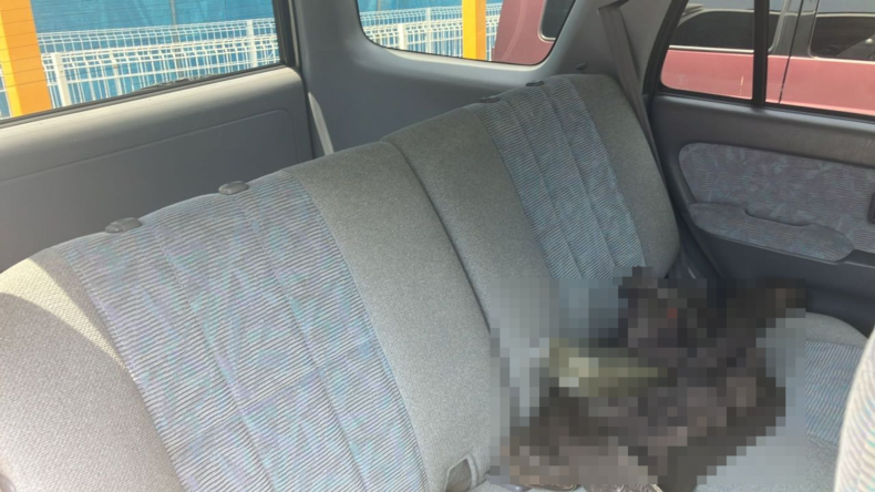 内装後方シート