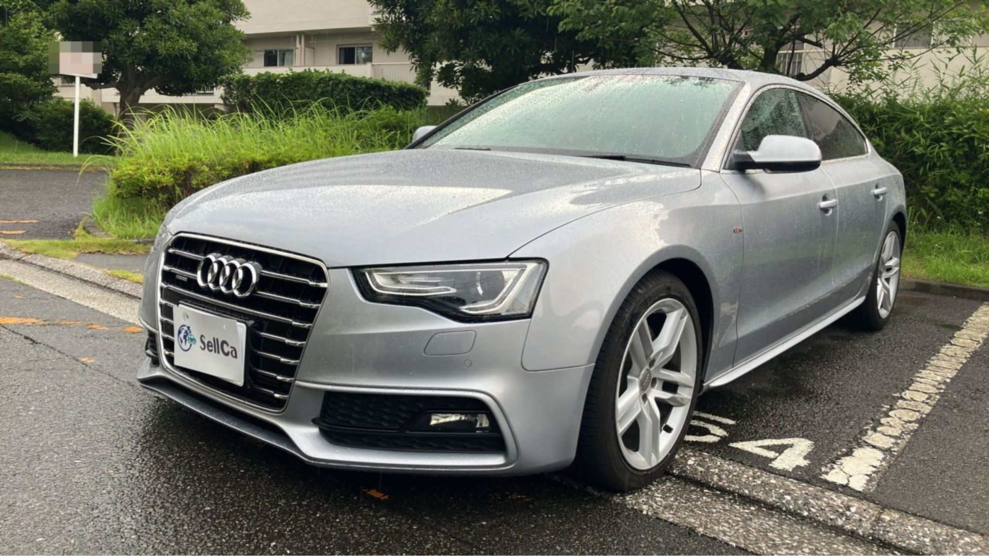 アウディ Ａ５スポーツバックの売買実績画像